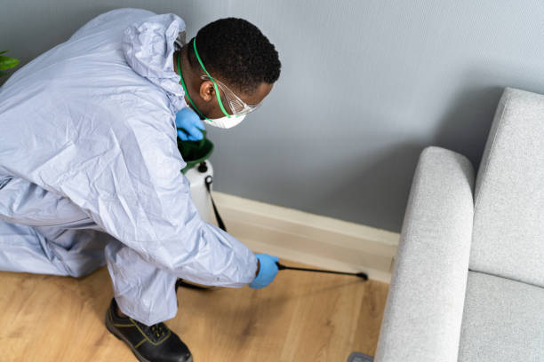 Professional Pest control in Fair Haven, NJ